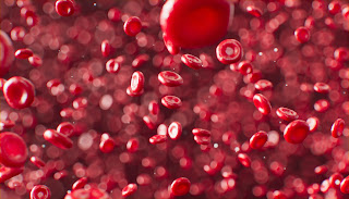 a graphic of red blood cells