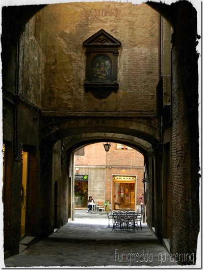 DSCN0797 2
