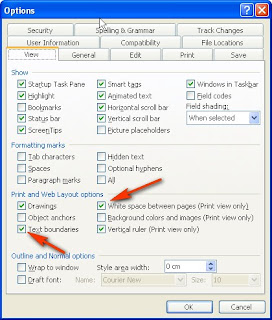 Cara menampilkan text boundaries di word 2003  Artikel 