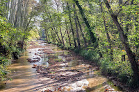 Riera de Santa Coloma 