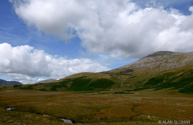 SHAPELY SCA FELL