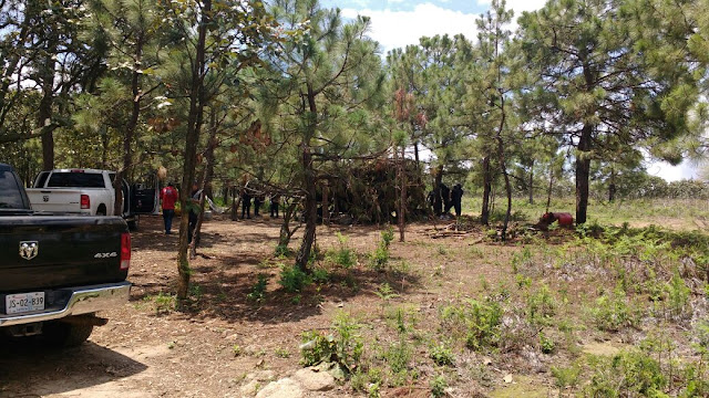Reportan un muerto y cinco detenidos tras enfrentamiento en campamento del CJNG