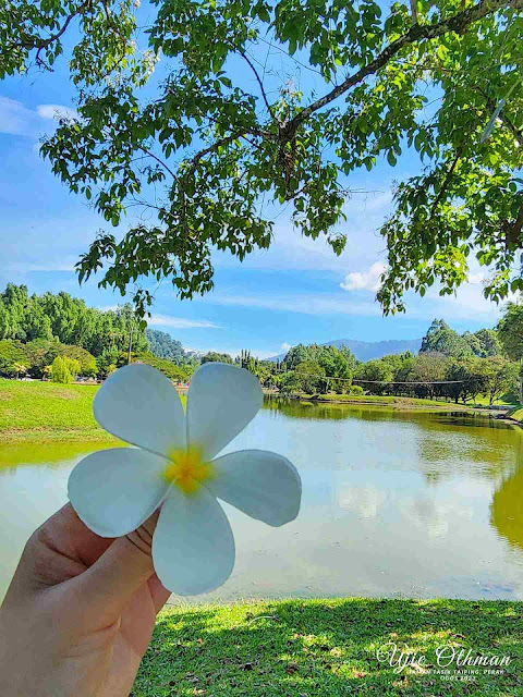 Taman Tasik Taiping - Taiping Lake Gardens