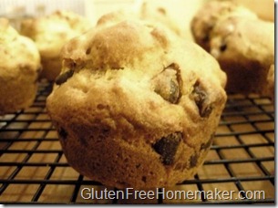 chocolate chip muffins