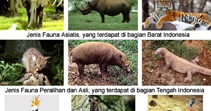 Jenis dan Ciri Flora  Fauna Peralihan 