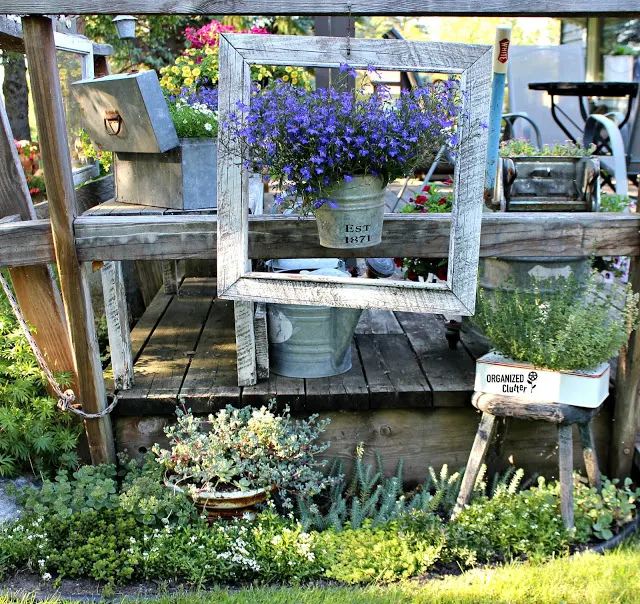 Succulent Planting Ideas in a Junk Garden