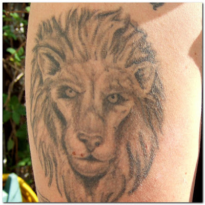 Lion Tattoos and Tattoo Designs Pictures Gallery 1