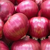 Cheapest Onion Deal in India