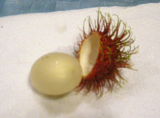 Rambután (Nephelium lappaceum)