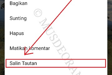 20+ Koleski Terbaru Cara Copy Caption Instagram Orang Lain