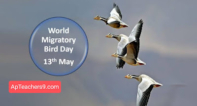 (May 13) International Migratory-Birds Day
