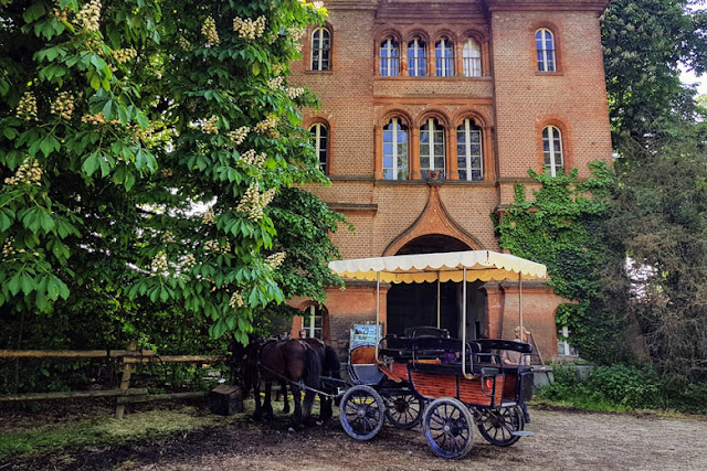 CASTELLO-RACCONIGI-CALESSE