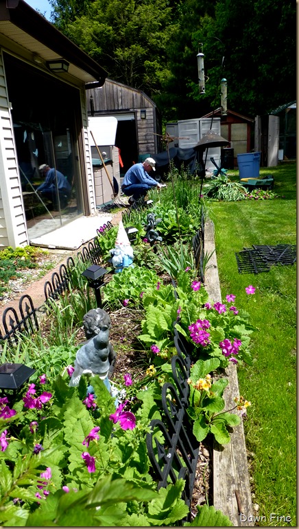 garden rehab_004