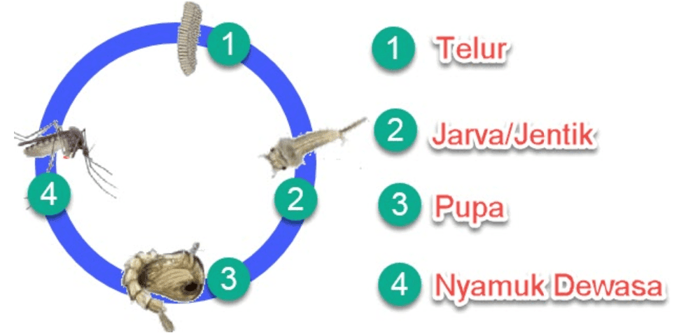 Kunci Jawaban Halaman 40, 41, 42, 46 Tema 5 Kelas 5