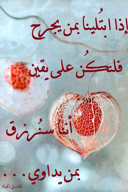 ØµÙˆØ± Ø¹Ù† Ø§Ù„ØªØ¬Ø§Ù‡Ù„ 2021 Ø­ÙƒÙ… ÙˆÙƒÙ„Ø§Ù… Ø¹Ù† Ø§Ù„ØªØ¬Ø§Ù‡Ù„ Ù…ØµØ±Ø§ÙˆÙ‰ Ø§Ù„Ø´Ø§Ù…Ù„