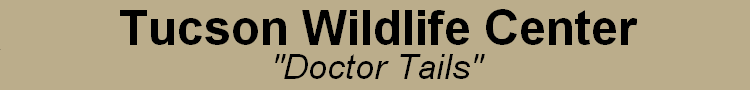 Tucson Wildlife Center: Doctor Tails