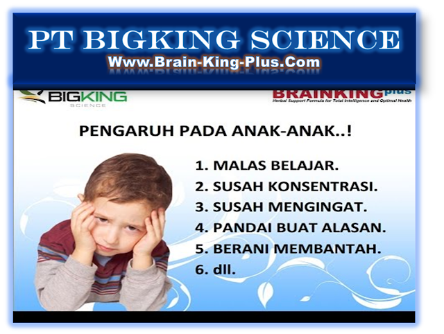 Brainking Plus 08123 01 8900