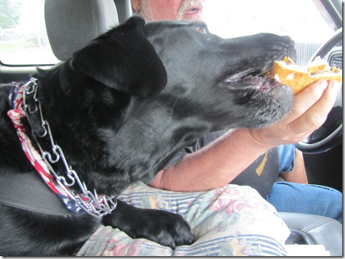 Rigg's enjoys a McDonaldsburger05-22-13a