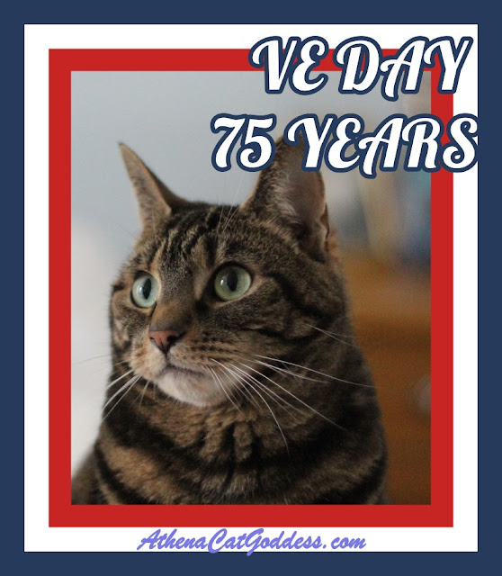 Tabby cat VE DAY 2020 Graphic