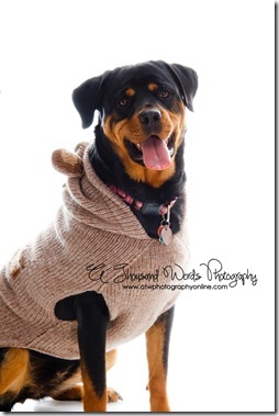 ~atwphotography~Feb~-48