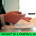 What on Earth is Lemon Law Insurance ?