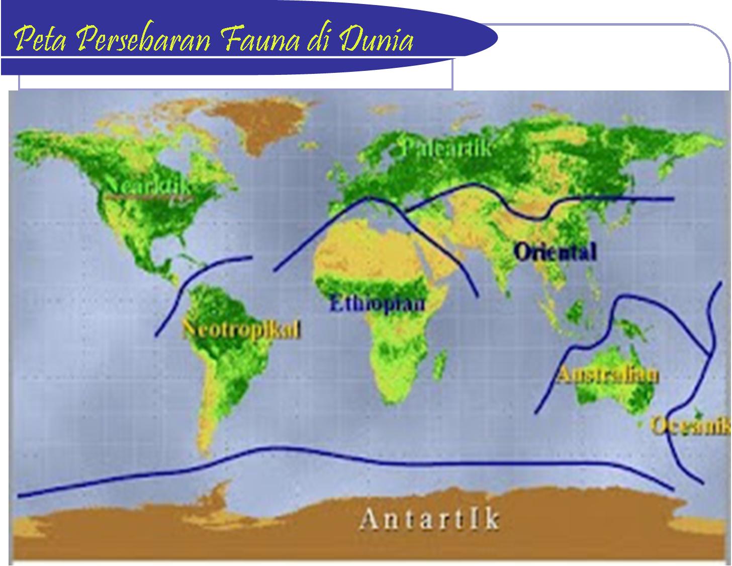 GEOGRAFI IWAN PERSEBARAN FAUNA DI BUMI