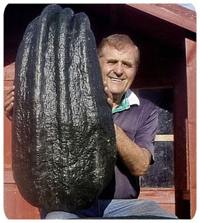 most of this giant vegetables used in competition