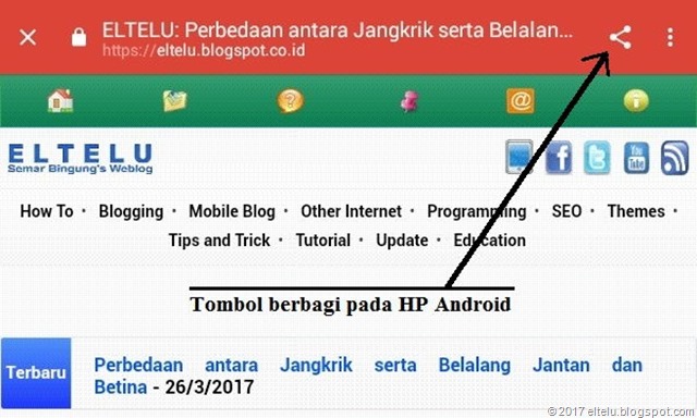 Tombol Berbagi pada HP Android