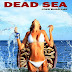 Dead Sea (2014) DVDRip 375MB Free Download