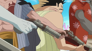 ワンピースアニメ 魚人島編 545話 タイヨウの海賊団 | ONE PIECE Episode 545