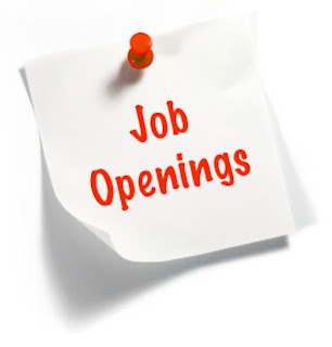 Job Openings for Freshers