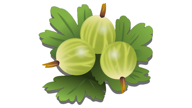 gooseberry clipart free