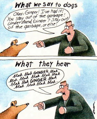 Thanks to Gary Larson