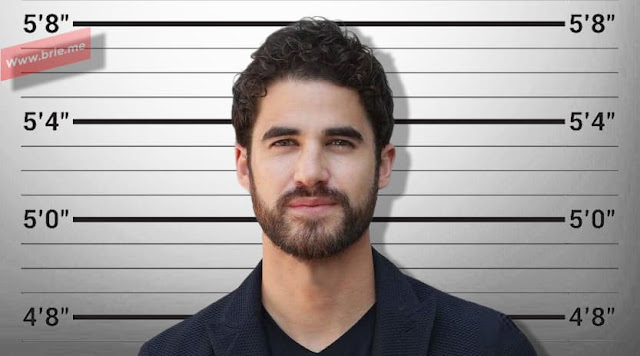 Darren Criss posing in front of a height chart background
