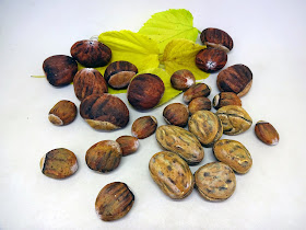 COMO PINTAR PIEDRAS CON FRUTOS SECOS PASO A PASO