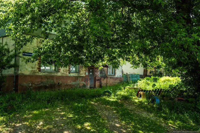 Тропа под низкой кроной дерева к многоквартирному дому
