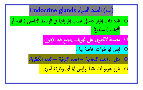 الغدد الصماء