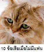 10 ข้อเสียของการไม่มีแฟน