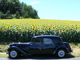 Sunflowers and Citroen Traction Avant. Touraine Loire Valley. France. Photo by Susan Walter.