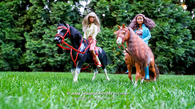 Play BIG horse and Barbie horse and dolls