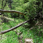 WEST WEBBER CREEK