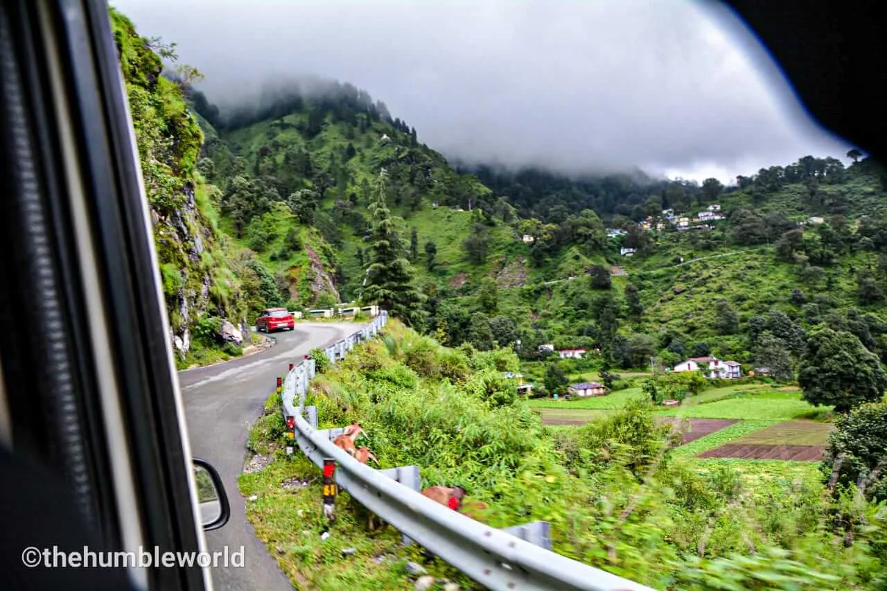 Captured this beautiful view on our way to Nainital