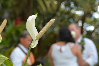 Botanical Garden