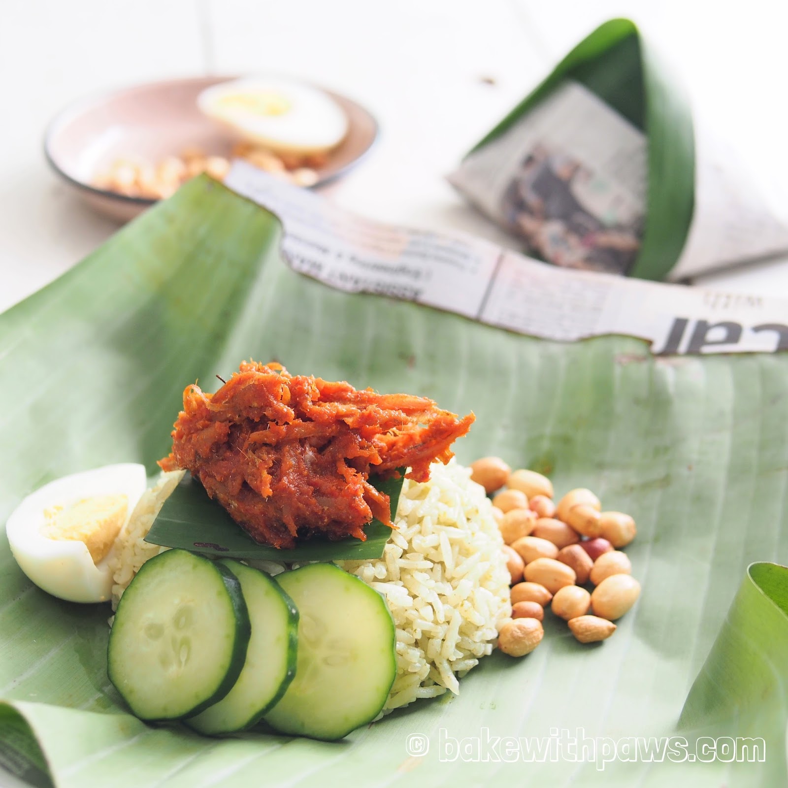  Nasi Lemak Bungkus  BAKE WITH PAWS