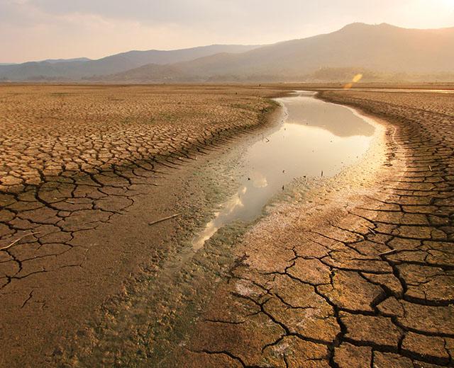 Save Soil Movement Can Solve Water Crisis