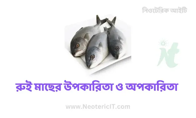 রুই মাছের উপকারিতা ও অপকারিতা - cotton fish - NeotericIT.com
