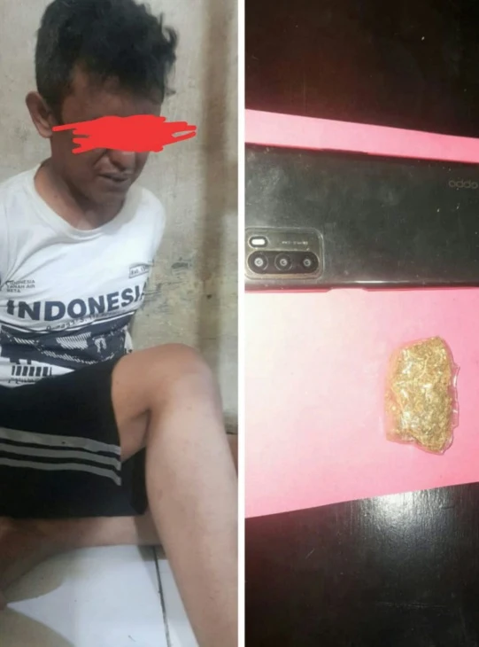 Lagi, Polres Solok Tangkap Pengguna Narkotika Jenis Ganja