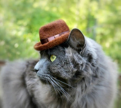 Indiana Jones Fedora Cat Hat