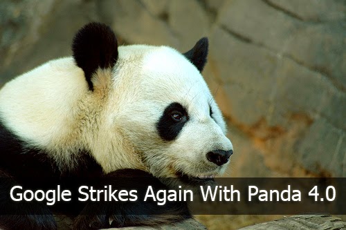 Google Panda 4.0