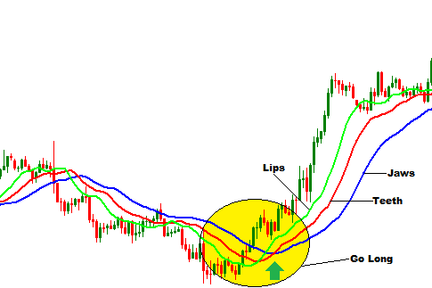 Forex Trading Guide How To Trade With Alligator Technical Indicator - 